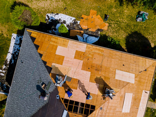 Best Storm Damage Roof Repair  in Clay, KY