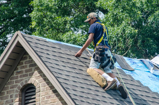 Best Roof Gutter Cleaning  in Clay, KY